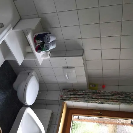 In Wildschönau/tirol 600